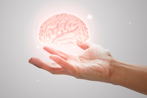 medulla