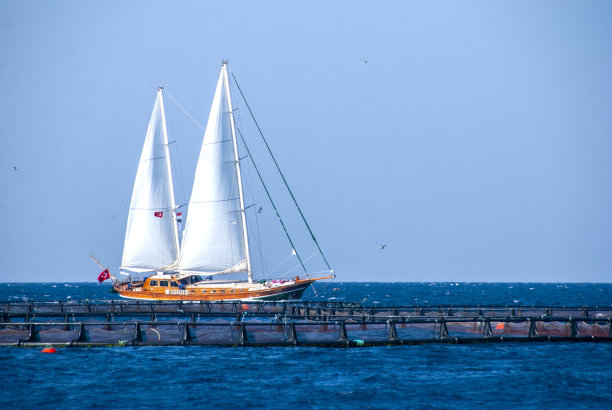 sail