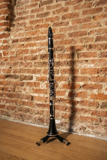 clarinet