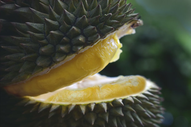 ripe