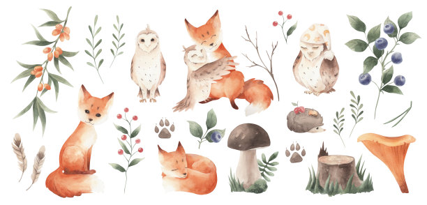 fox