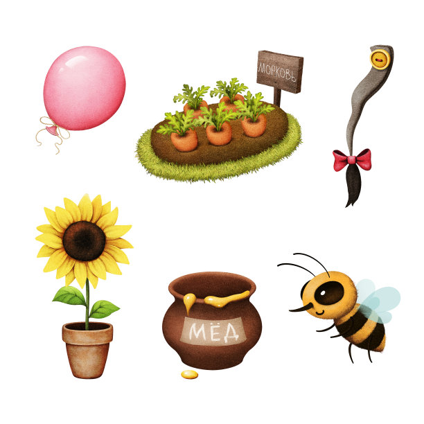 蜜蜂与胡萝卜花