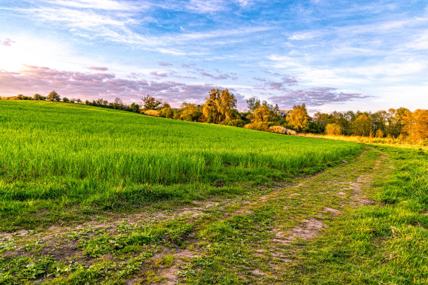pathway
