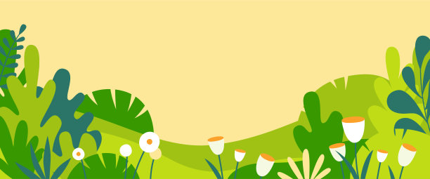 抽象热带植物叶子背景