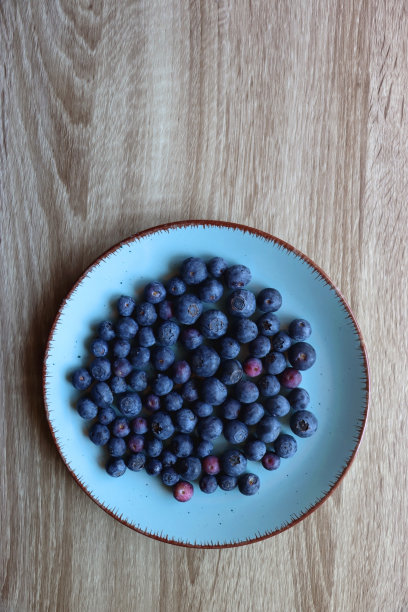 蓝莓,浆果,甜点心