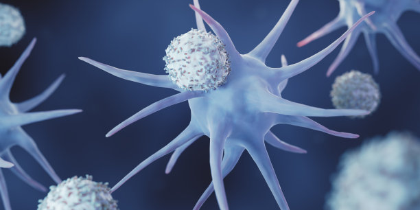 cd4