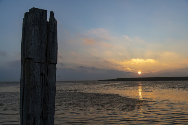 _texel