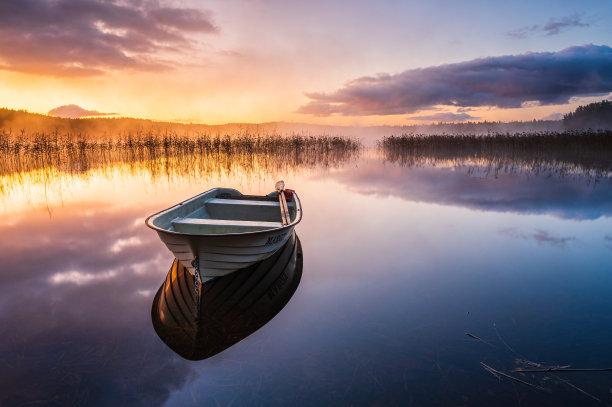 dawn