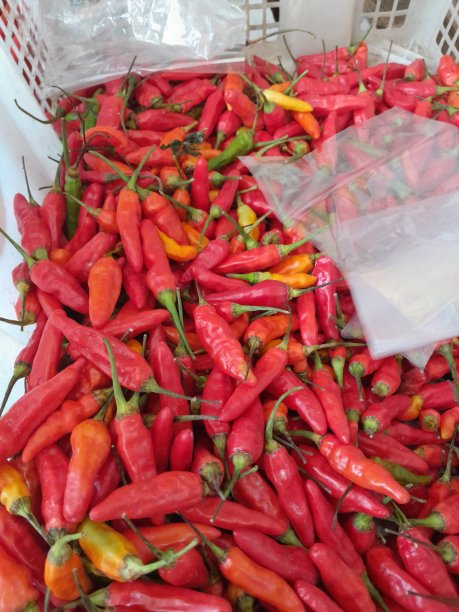 cayenne