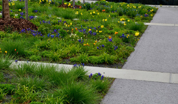 橙红色花朵条纹背景图案