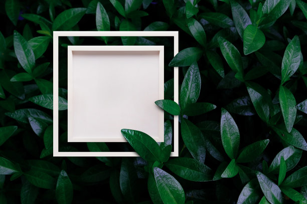 清新绿色方块背景图案