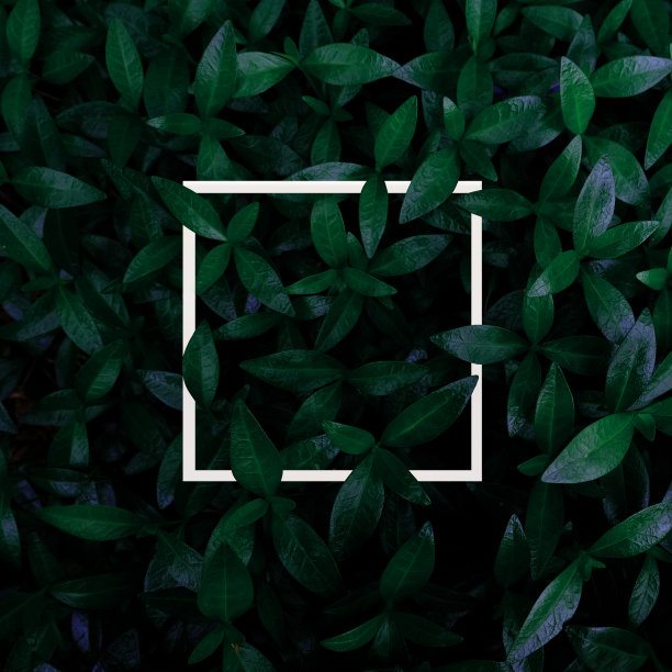 清新绿色方块背景图案