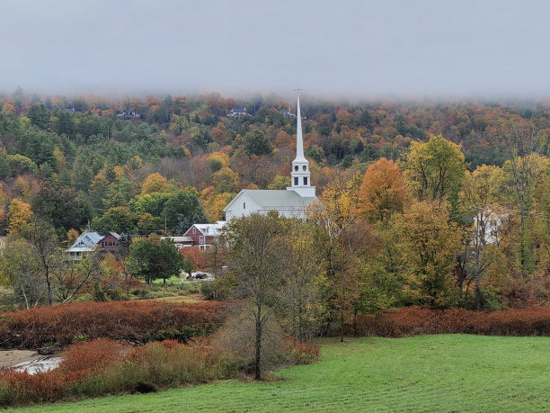 vt