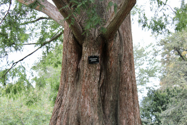arboretum