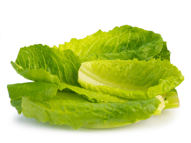 romaine