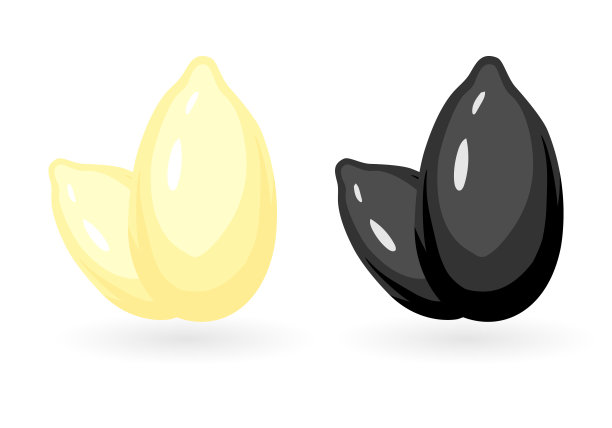 黑芝麻包装插画