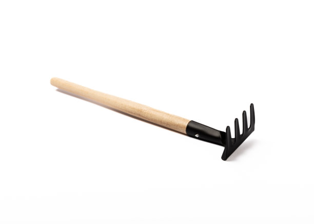 rake