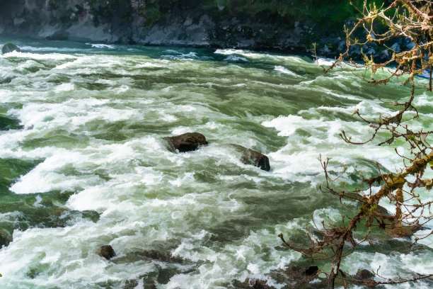 rapids