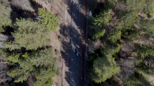 无人机摄影之穿越森林的汽车