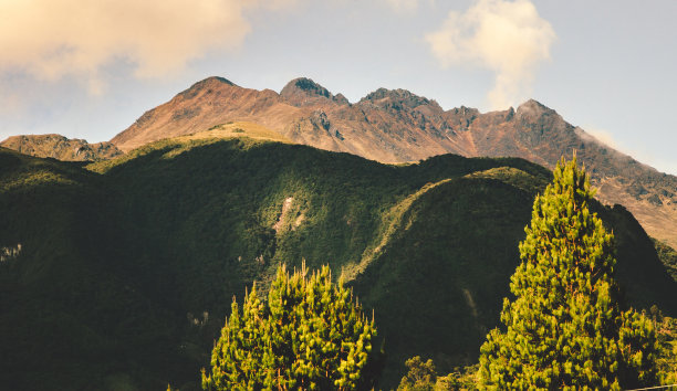 alba