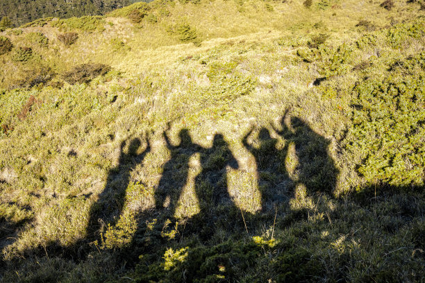 5人