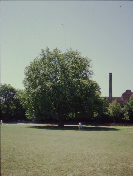 1995