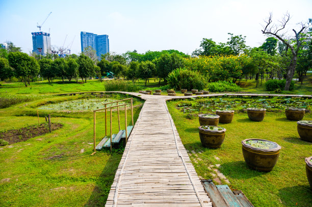 道路 蓝天 公园 树荫 阳光 