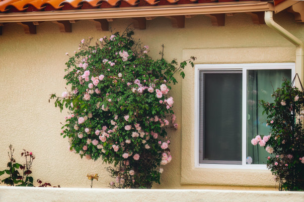 花窗玻璃花纹图案