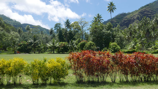 gauguin