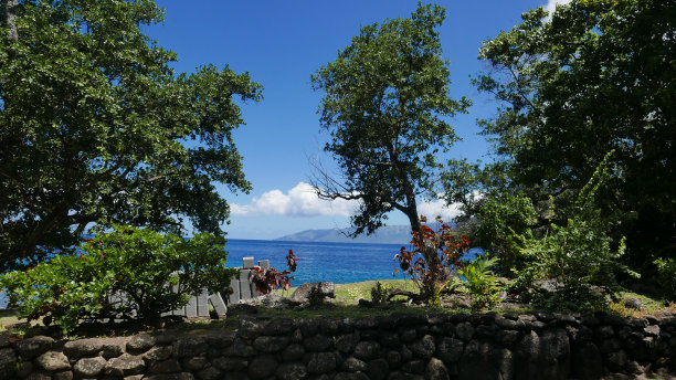 gauguin