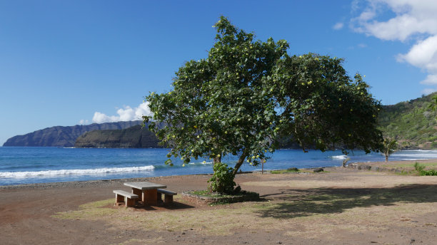 gauguin