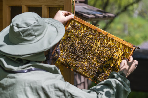 beekeeper
