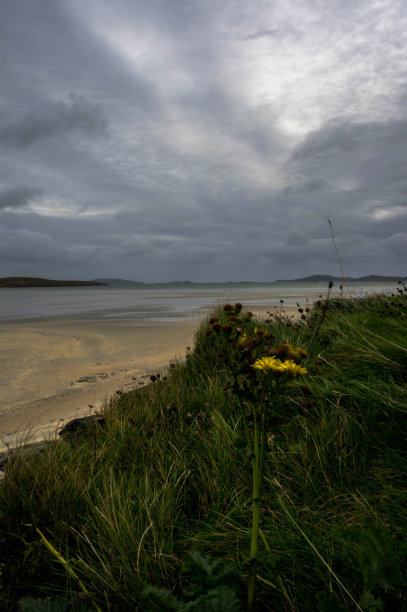 barra