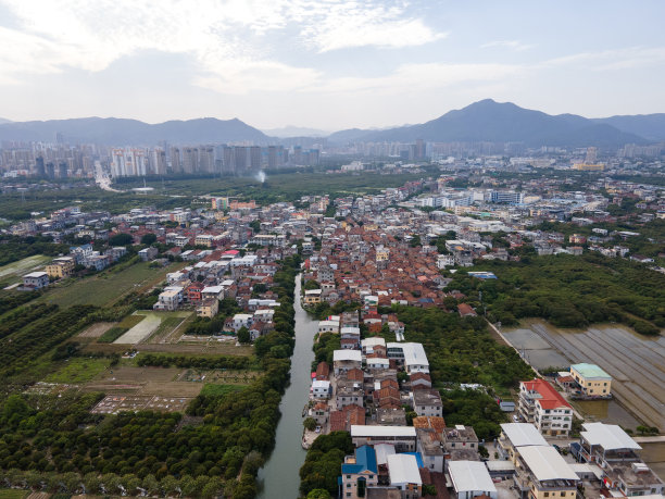 社区绿化 农村 乡村 高楼大厦