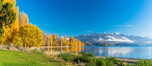 wanaka