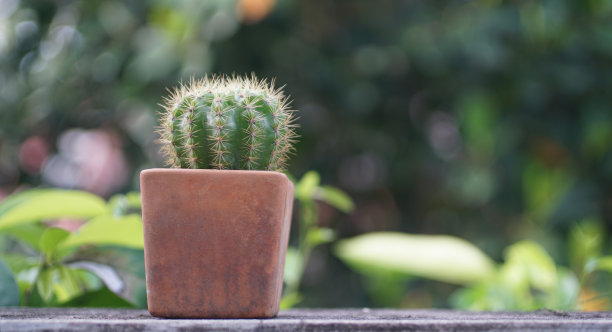 spiked