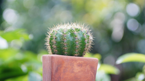 spiked