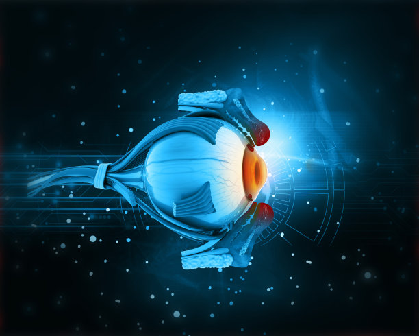 retina