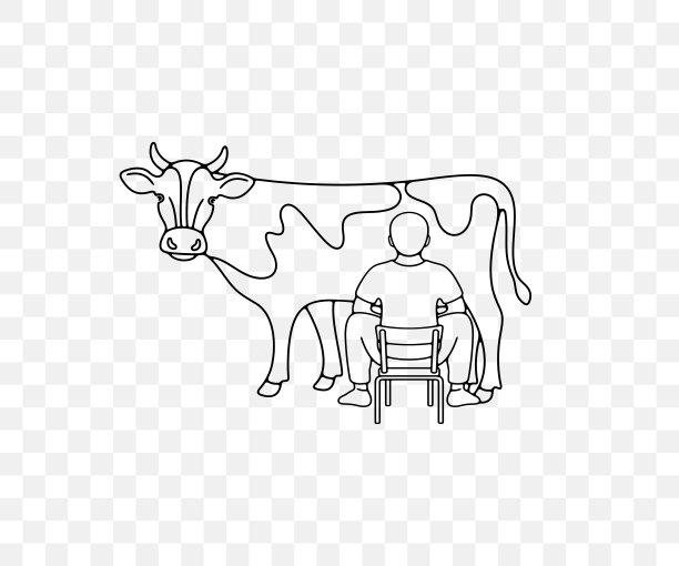 农业,牛,动物