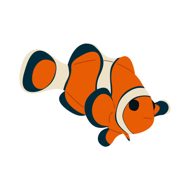 anemonefish