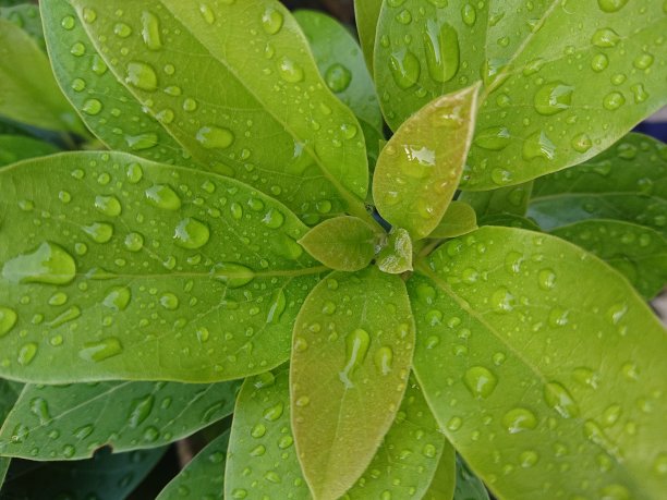 节约用水素材