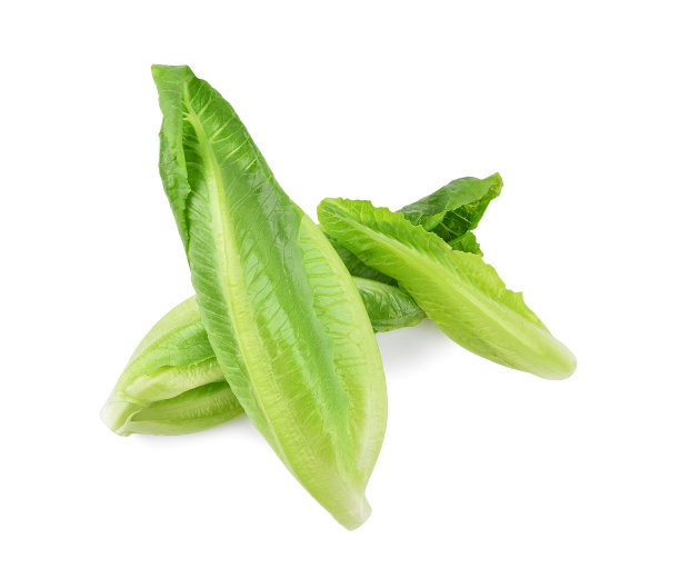 romaine