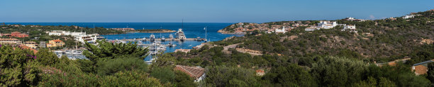 cervo