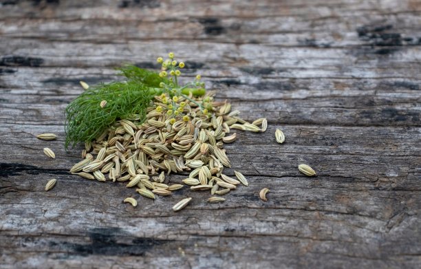 fennel