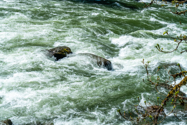 rapids