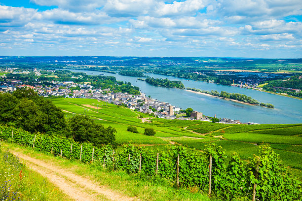 rudesheim