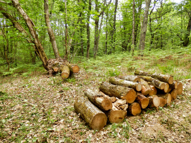 clearing
