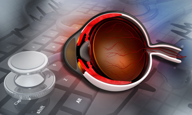 retina