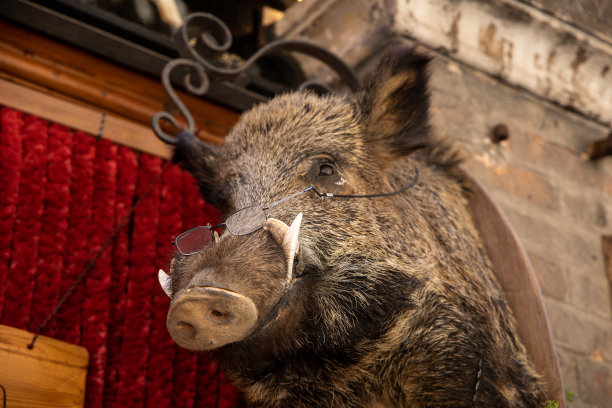 徐汇区城市徐汇区文化