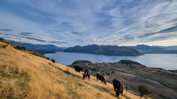 wanaka